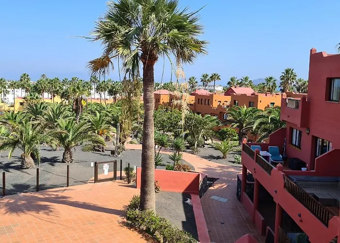 Apartament Oasis Royal D311 *